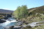 Linn of Dee