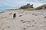 Bamburgh Castle