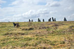Callanish Stones, Isle of Lewis