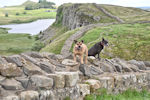 Housesteads, Hadrians Wall