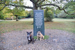 Rufus Stone, New Forest