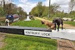 Kintbury Lock