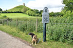 Glastonbury Tor
